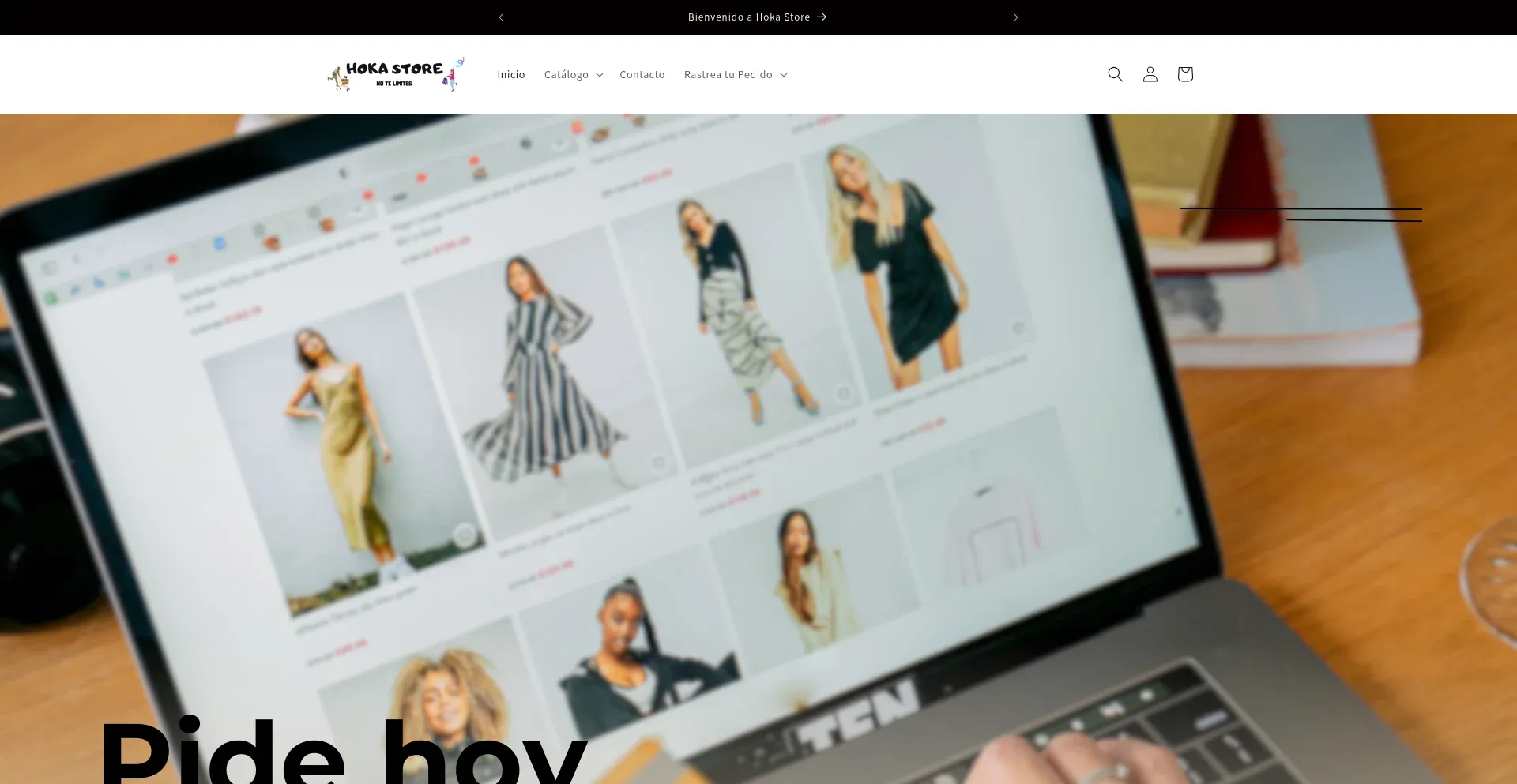Website screenshot of Hokastore.net