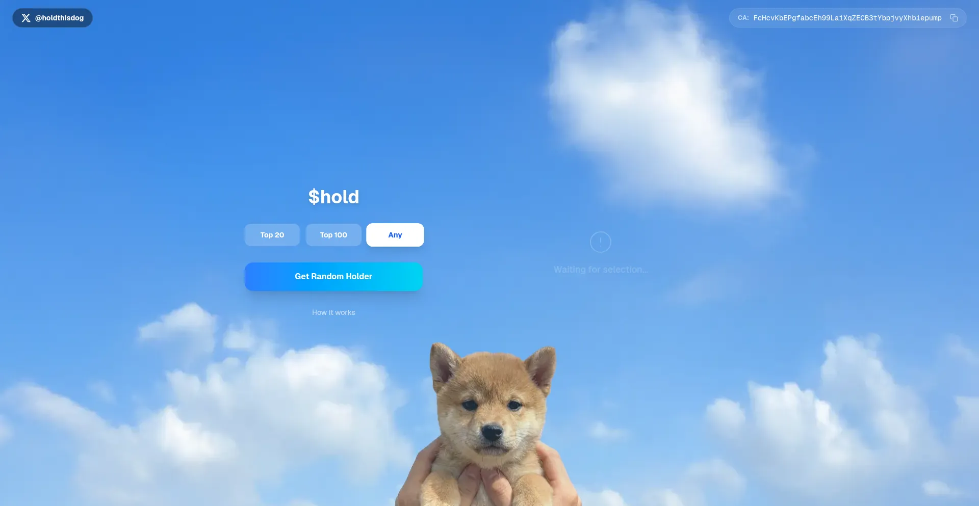 Holdthisdog.fun