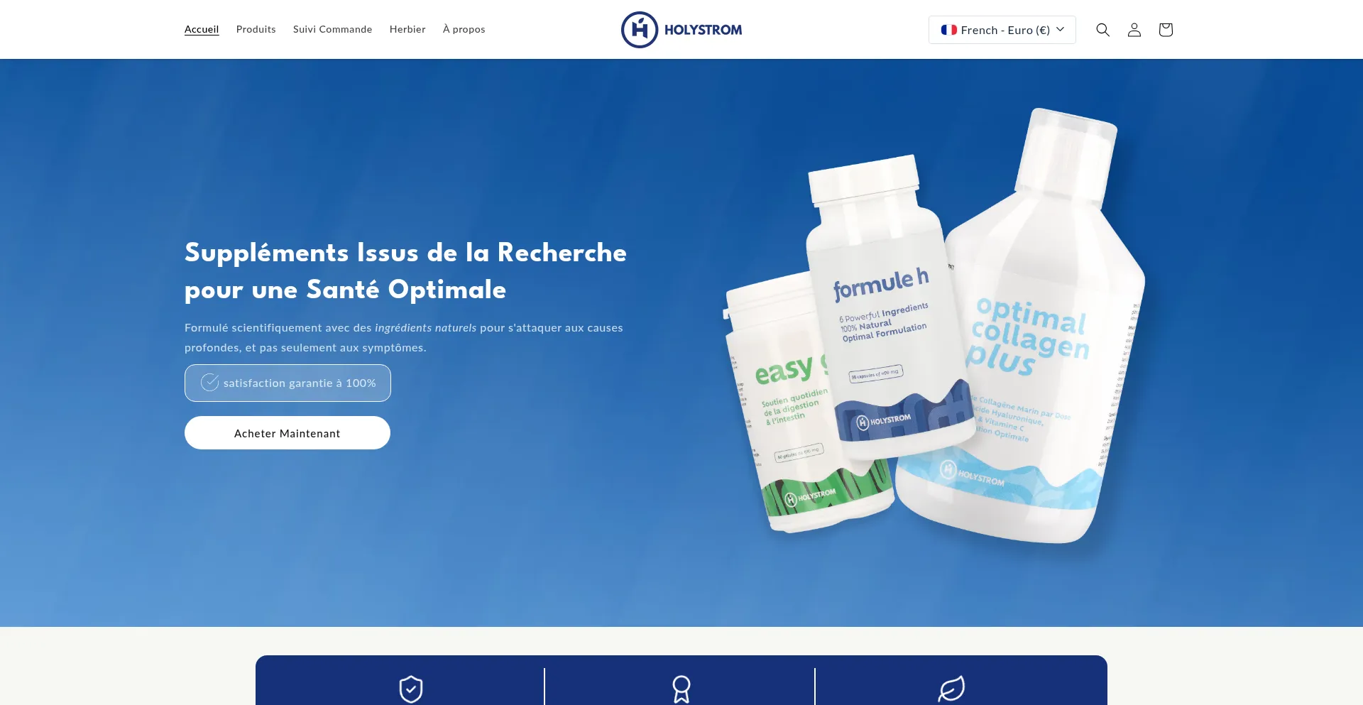 Holystrom.com