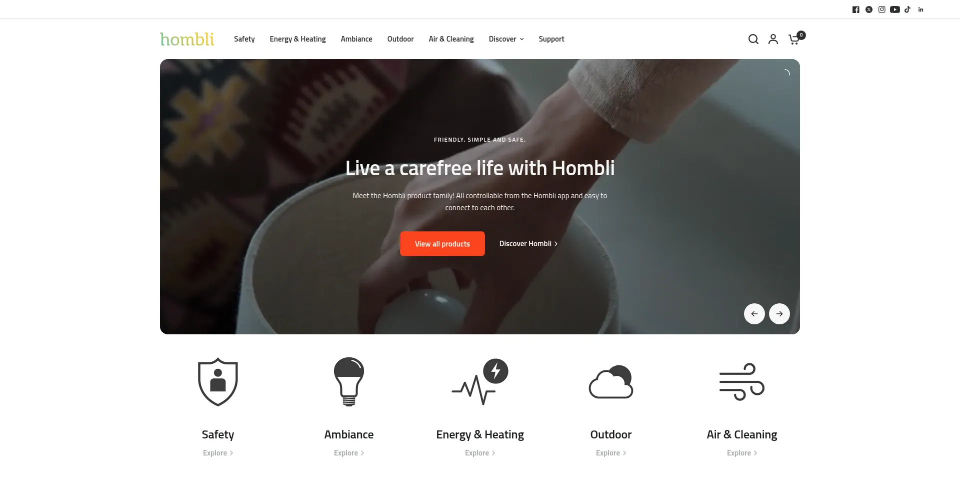 Website screenshot of Hombli.com