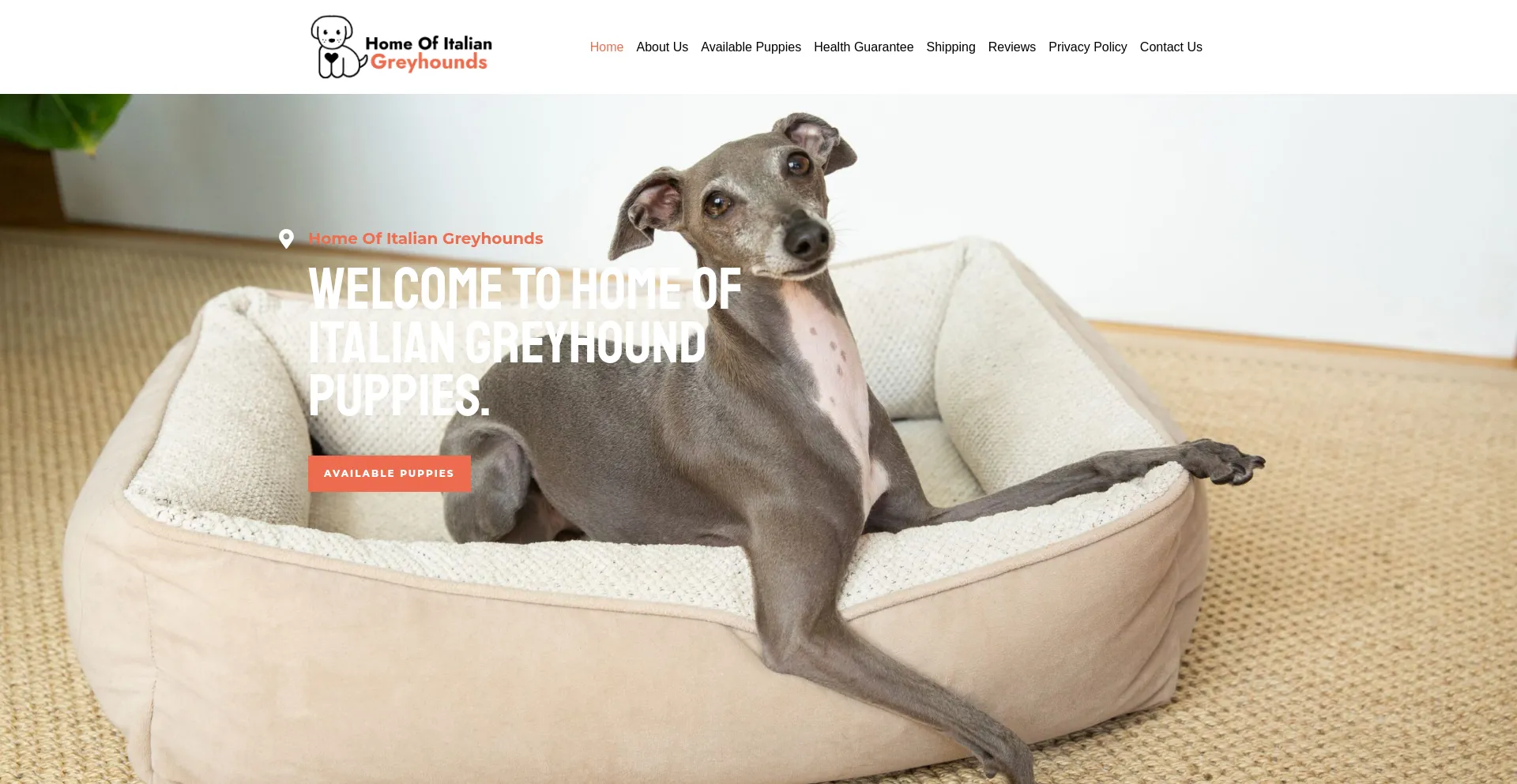 Homeofitaliangreyhounds.com