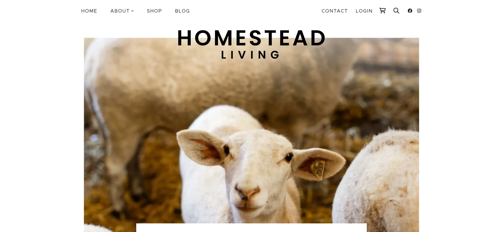 Homesteadliving.com