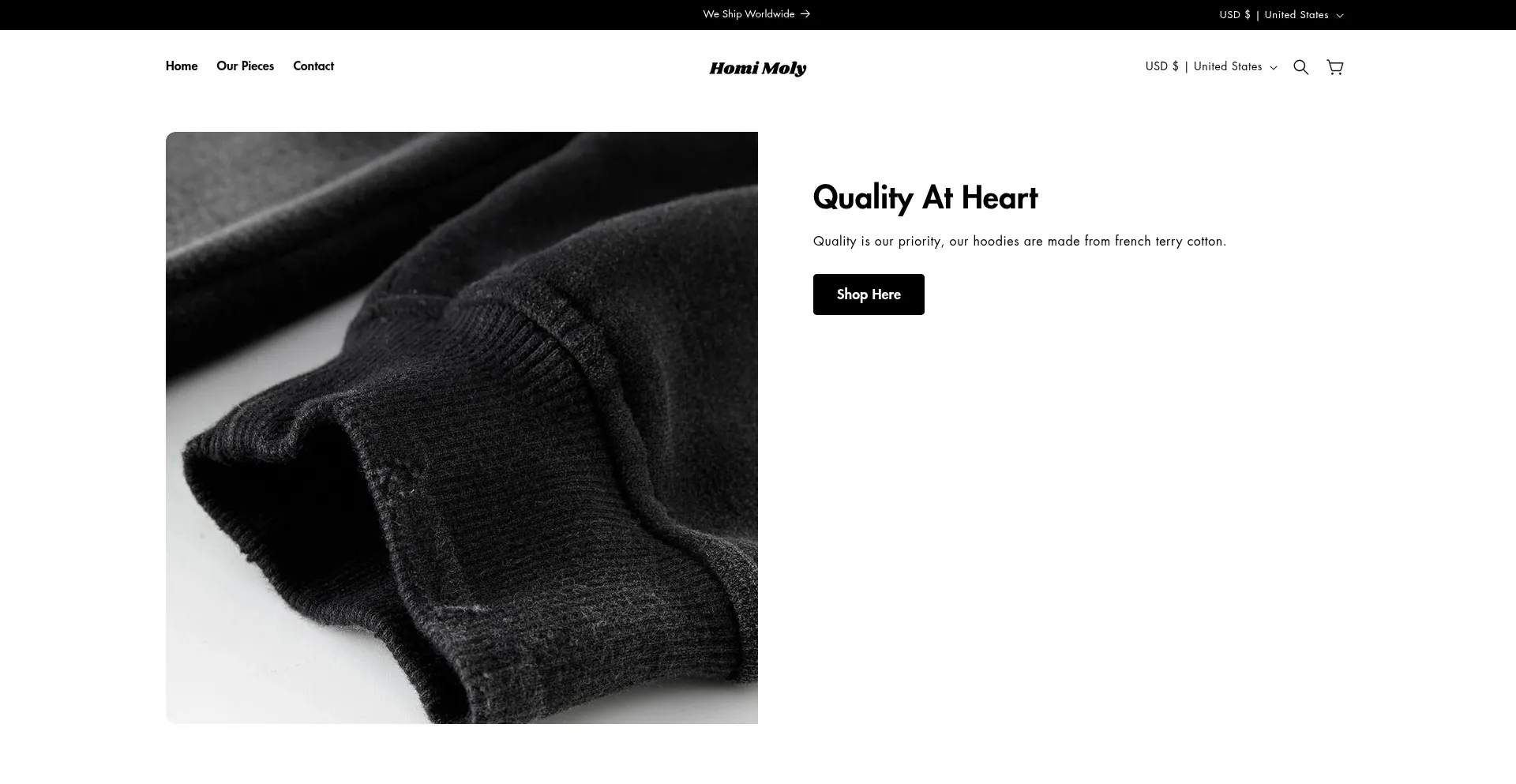 Website screenshot of Homimoly.com