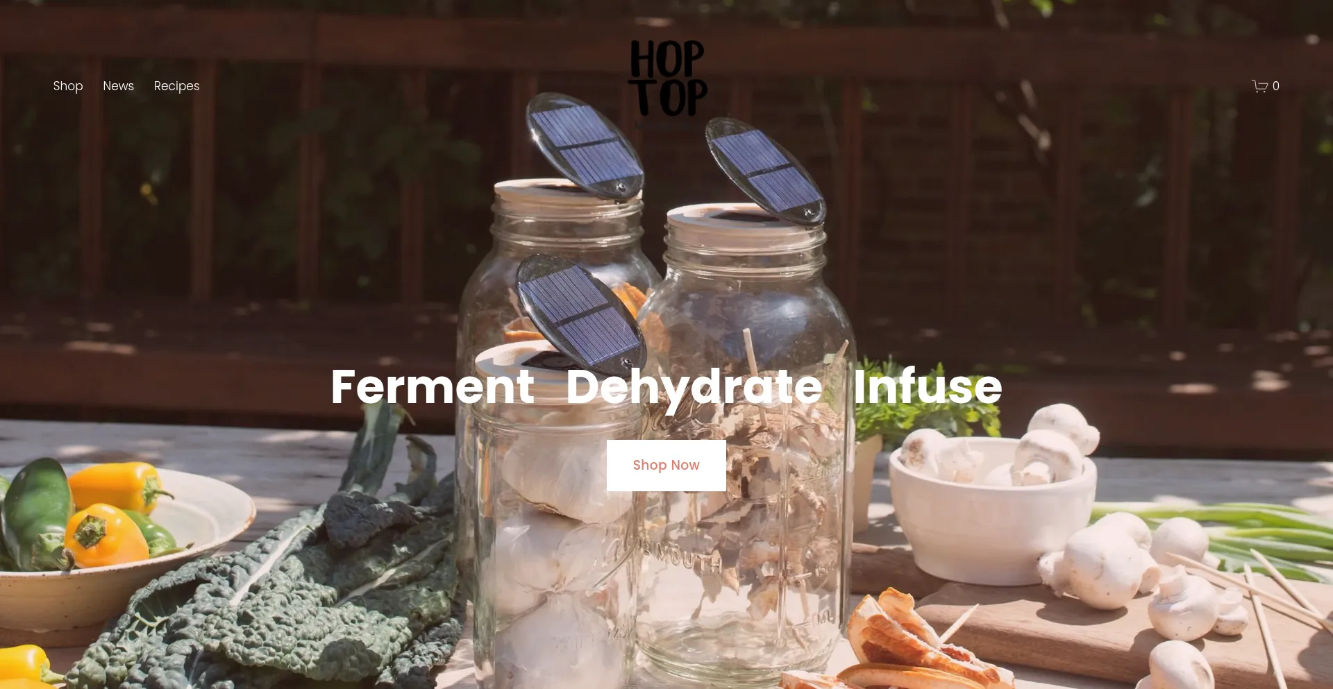 Website screenshot of Hoptop.us