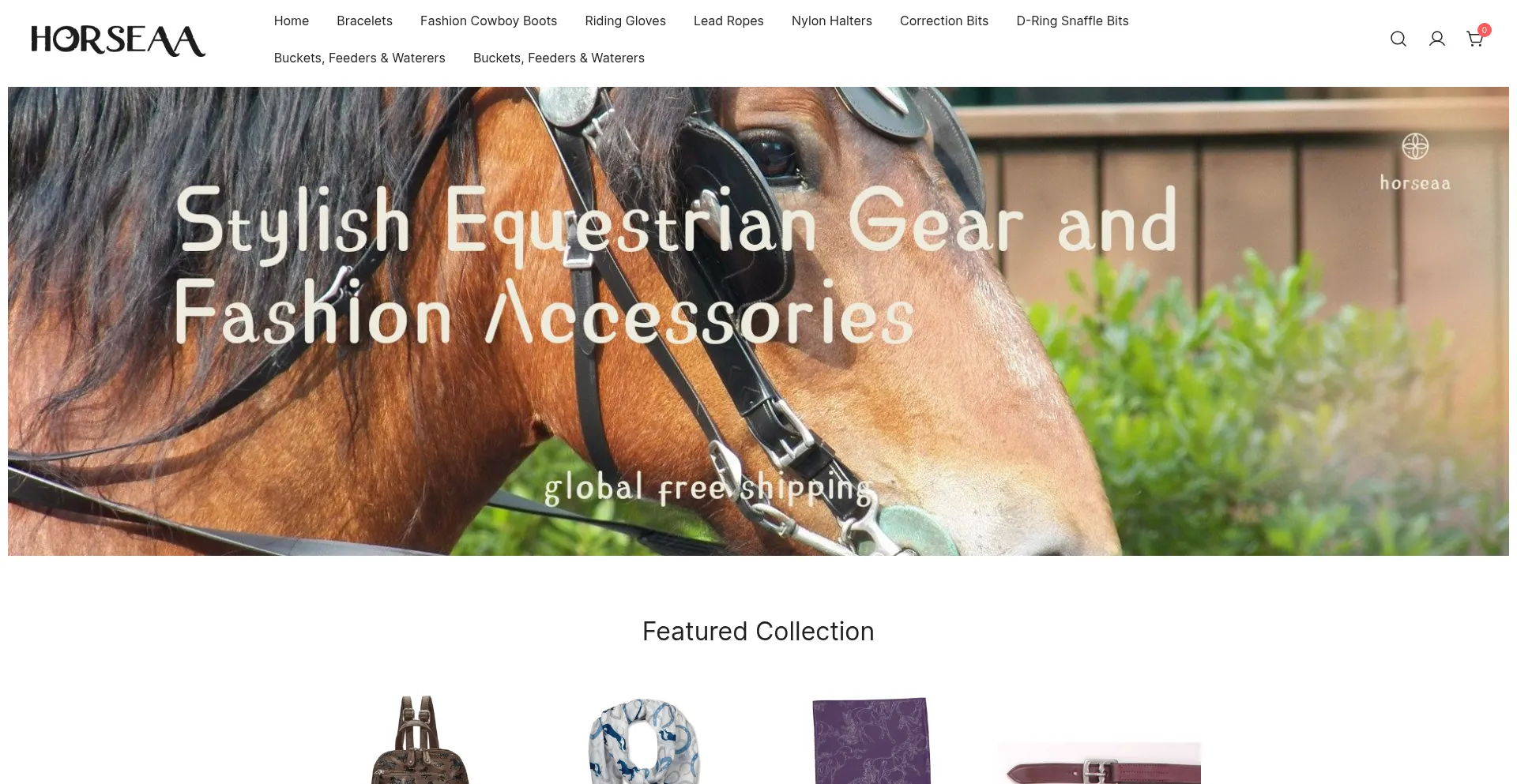 Website screenshot of Horseaa.com