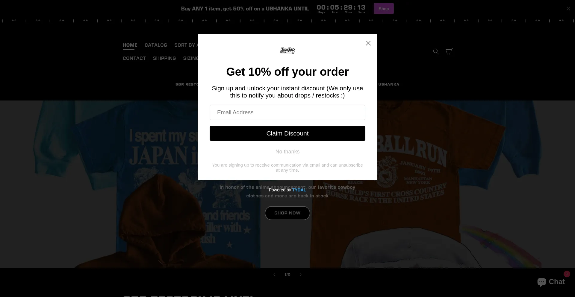Website screenshot of Hoshiclothing.com