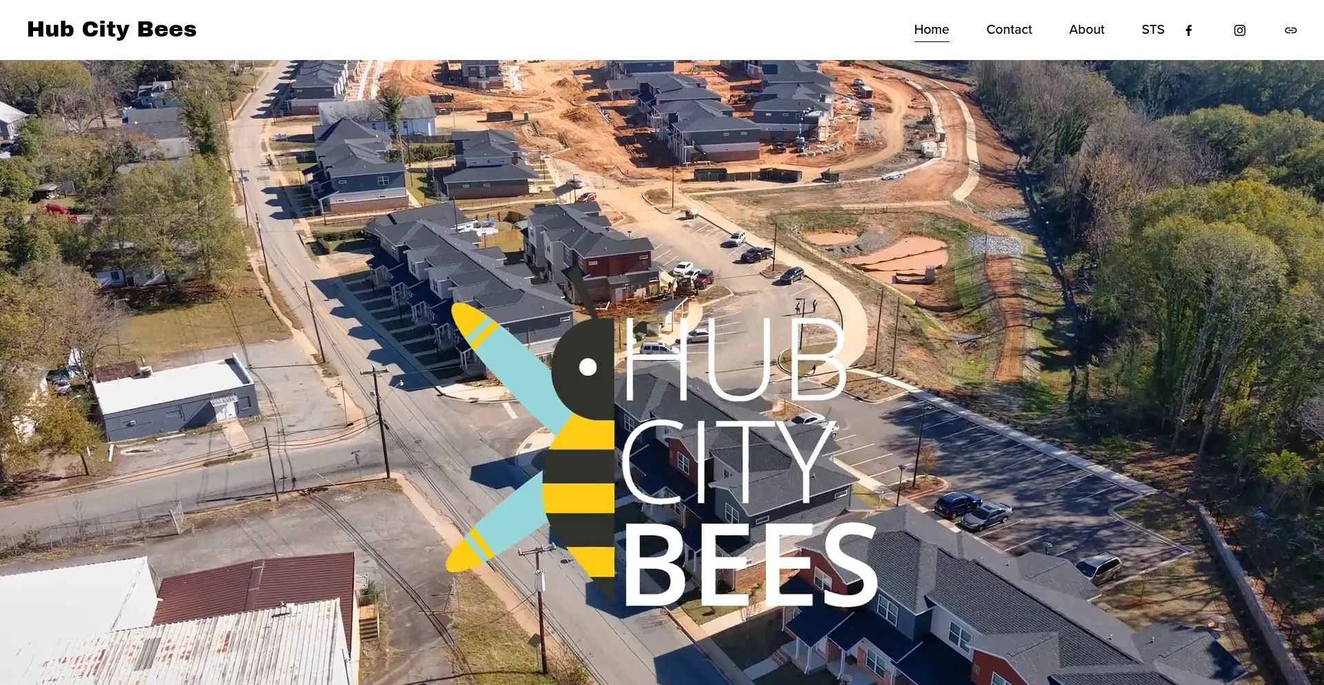 Hubcitybees.com