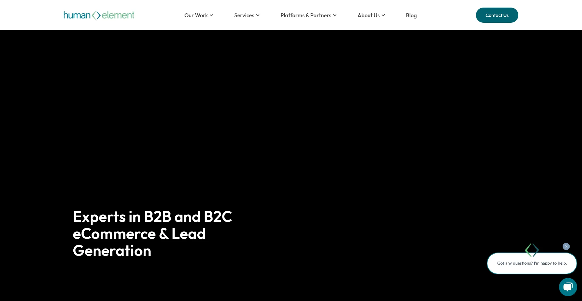Website screenshot of Human-element.com