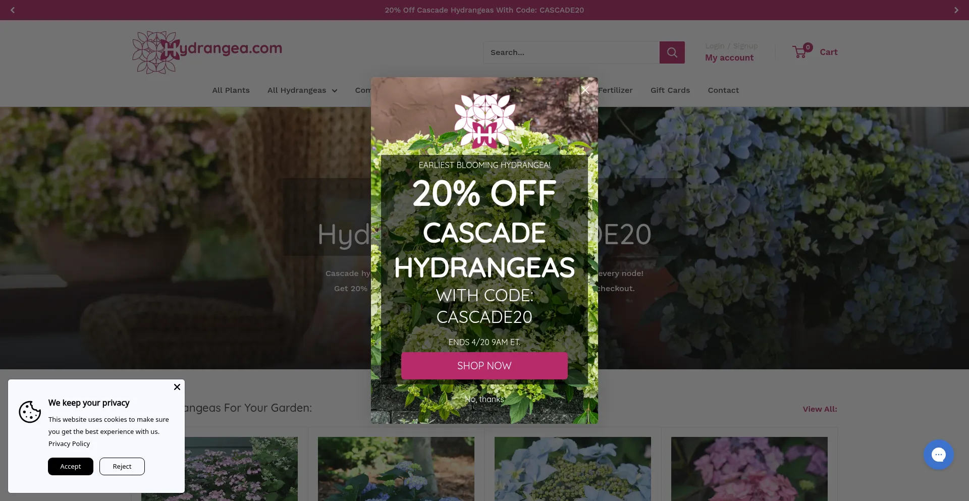 Hydrangea.com
