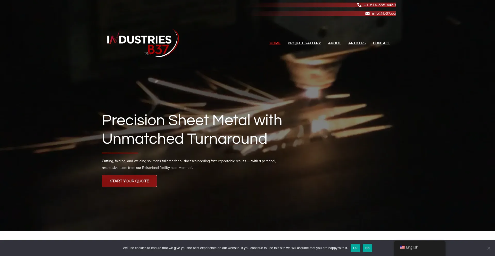 Website screenshot of Ib37.ca