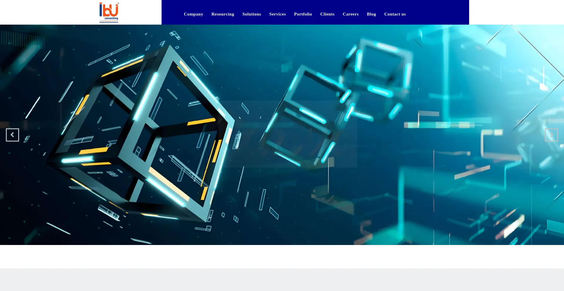 Website screenshot of Ibuconsulting.com