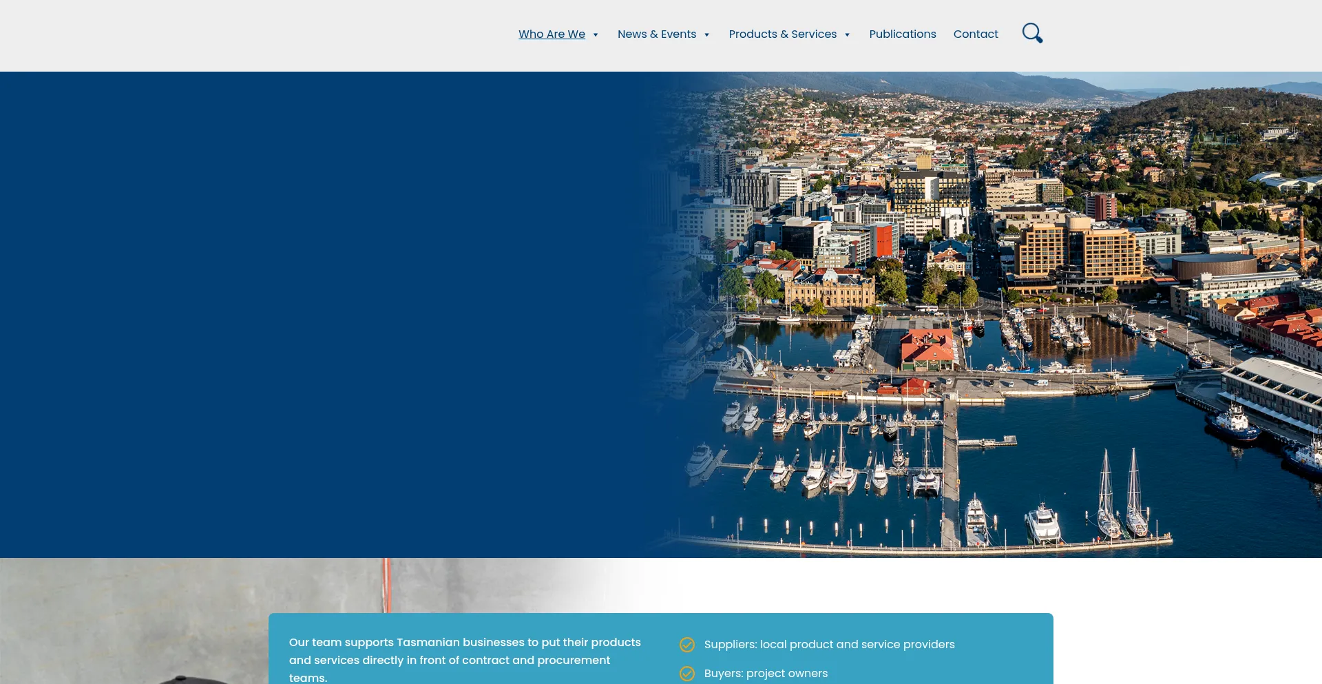 Website screenshot of Icntas.org.au