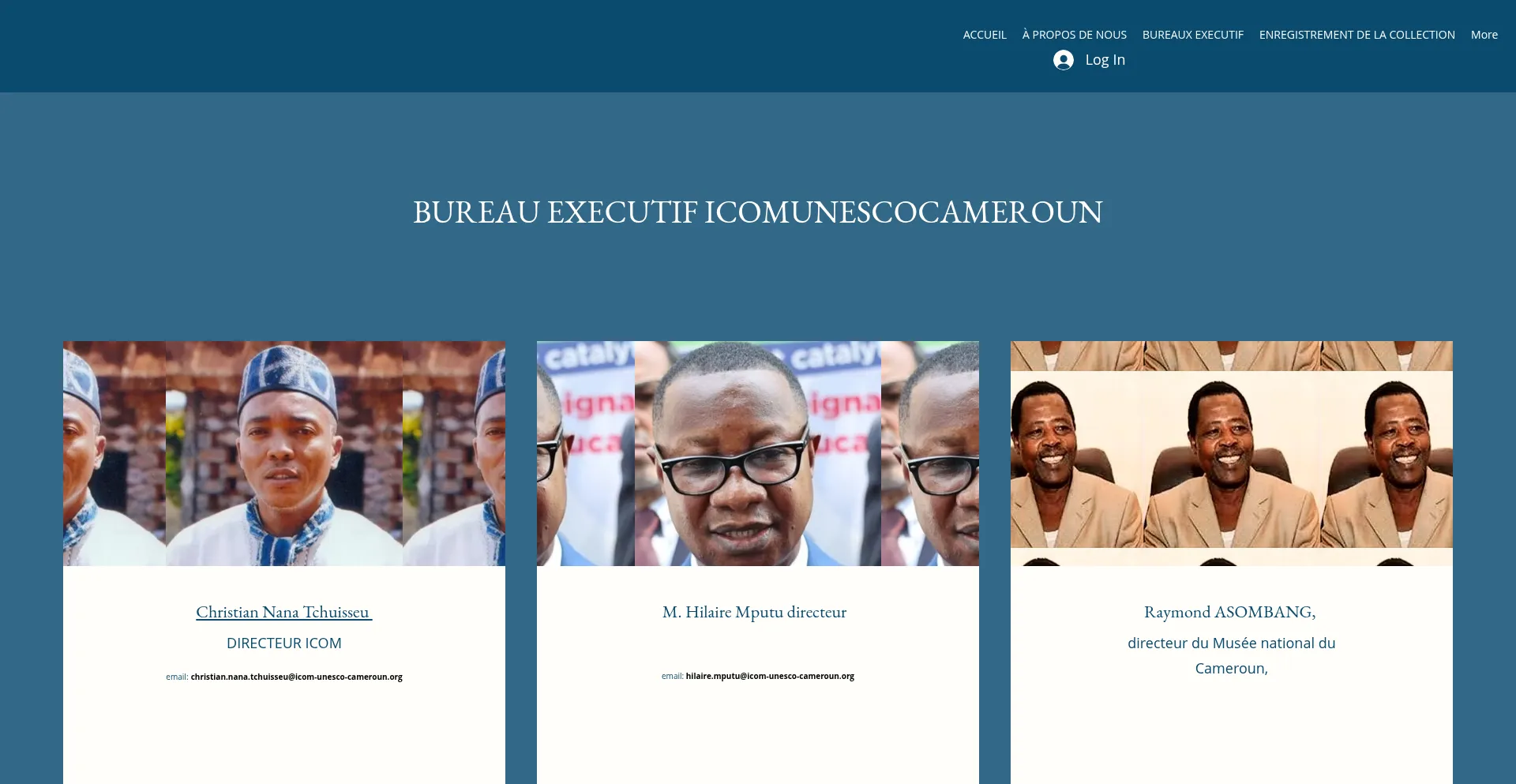 Icom-unesco-cameroun.online