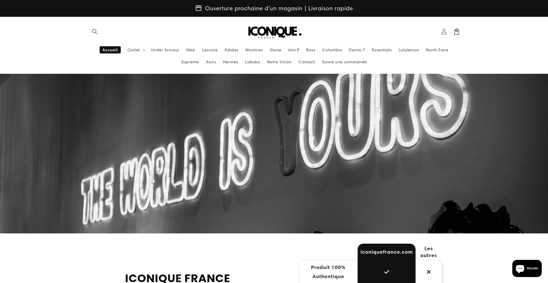 Website screenshot of Iconiquefrance.com