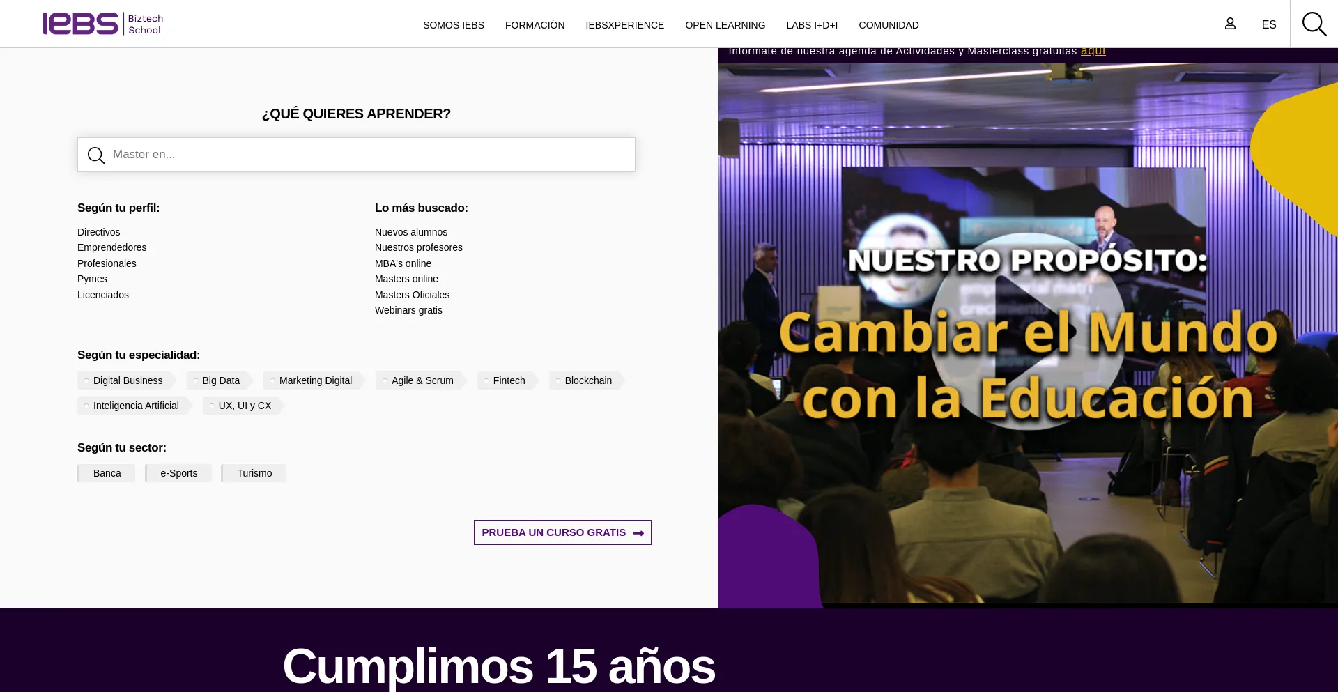 Website screenshot of Iebschool.com