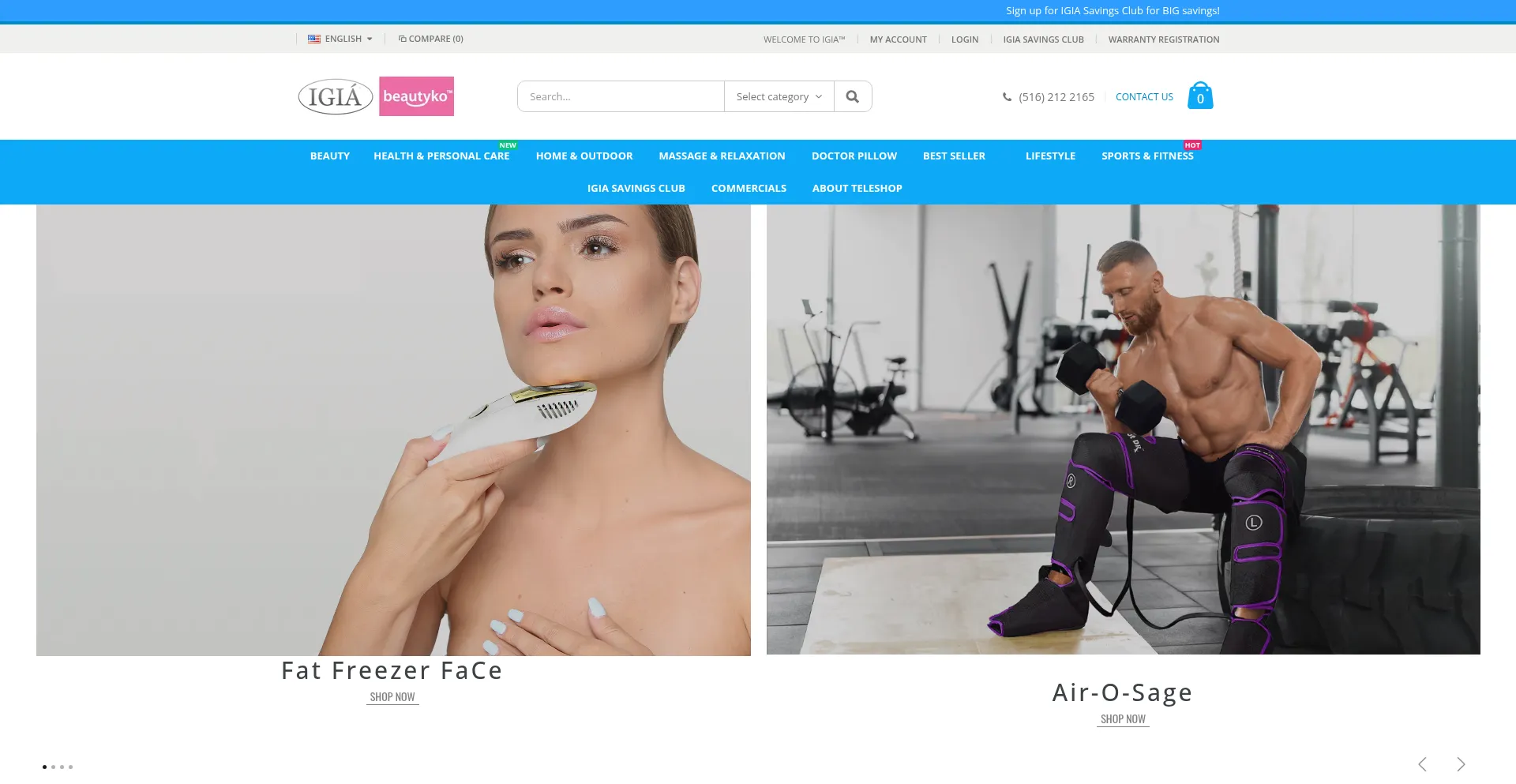 Website screenshot of Igia.com