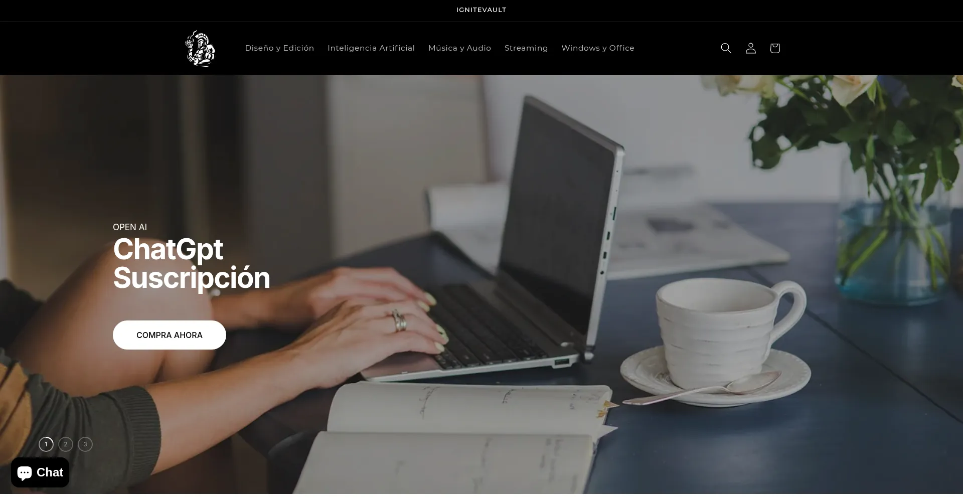 Website screenshot of Ignitevault.cl