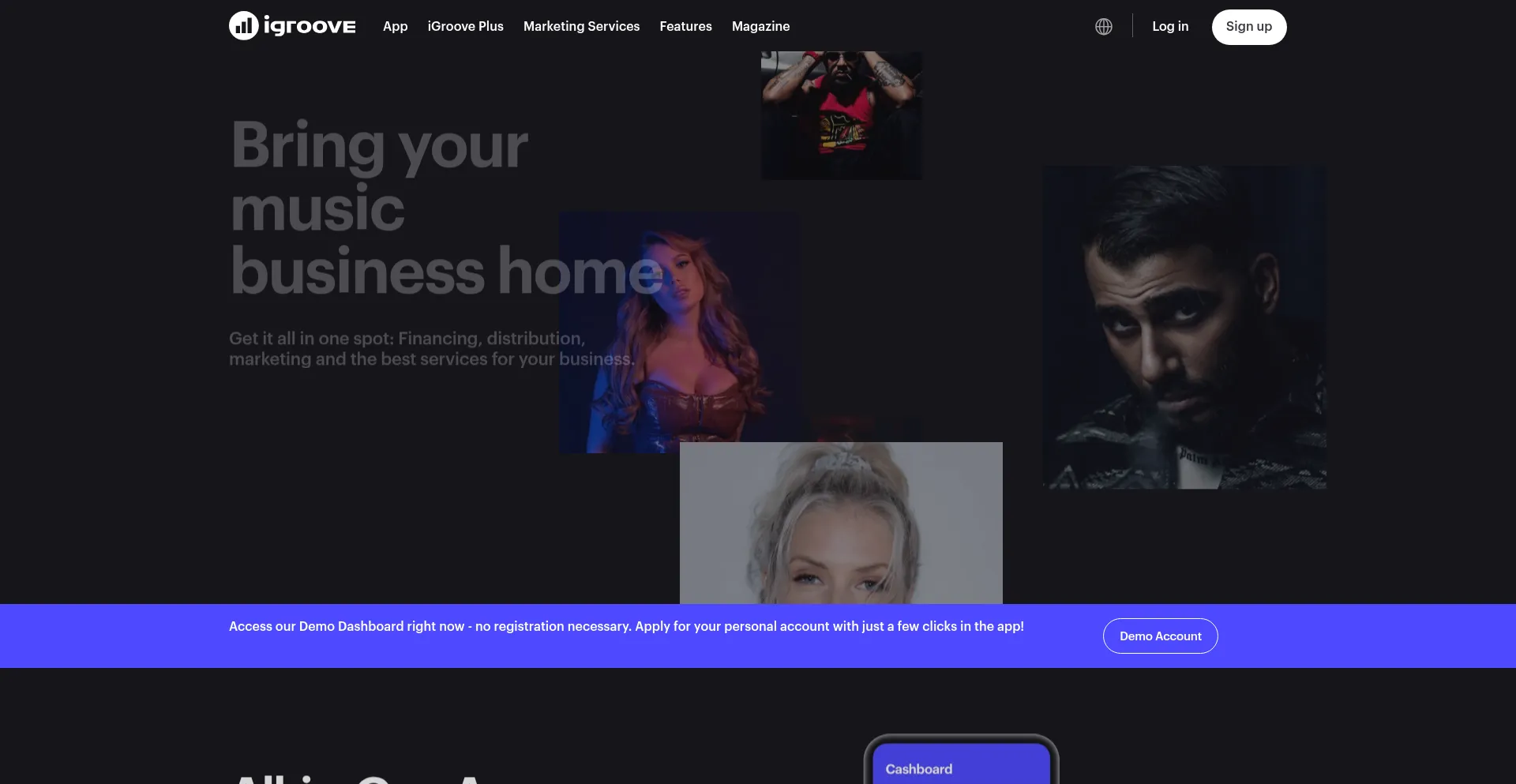 Website screenshot of Igroovemusic.com