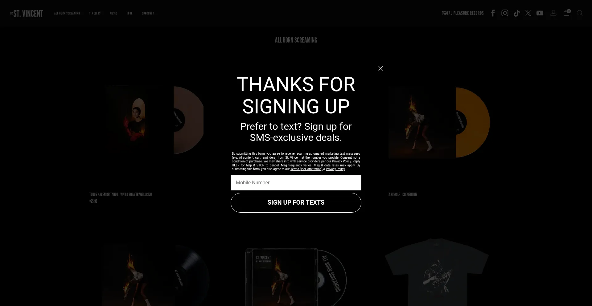 Website screenshot of Ilovestvincent.com