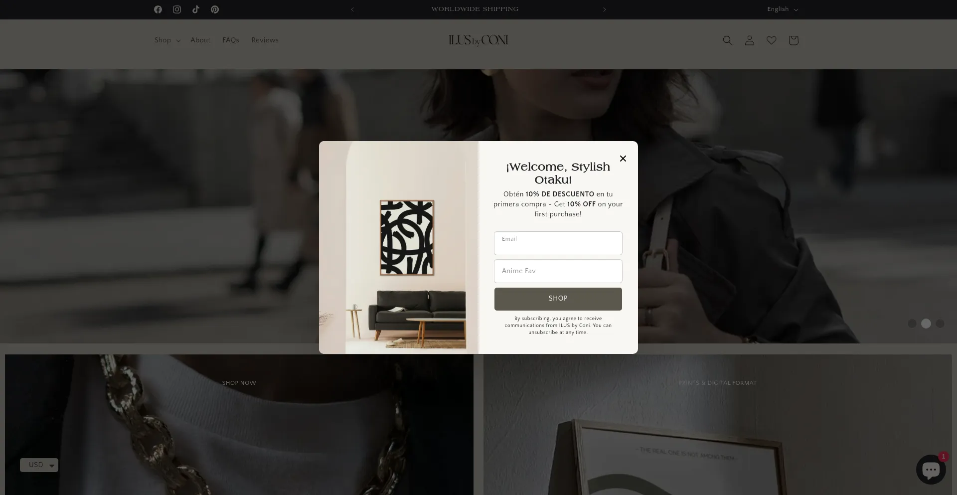 Website screenshot of Ilusbyconi.com