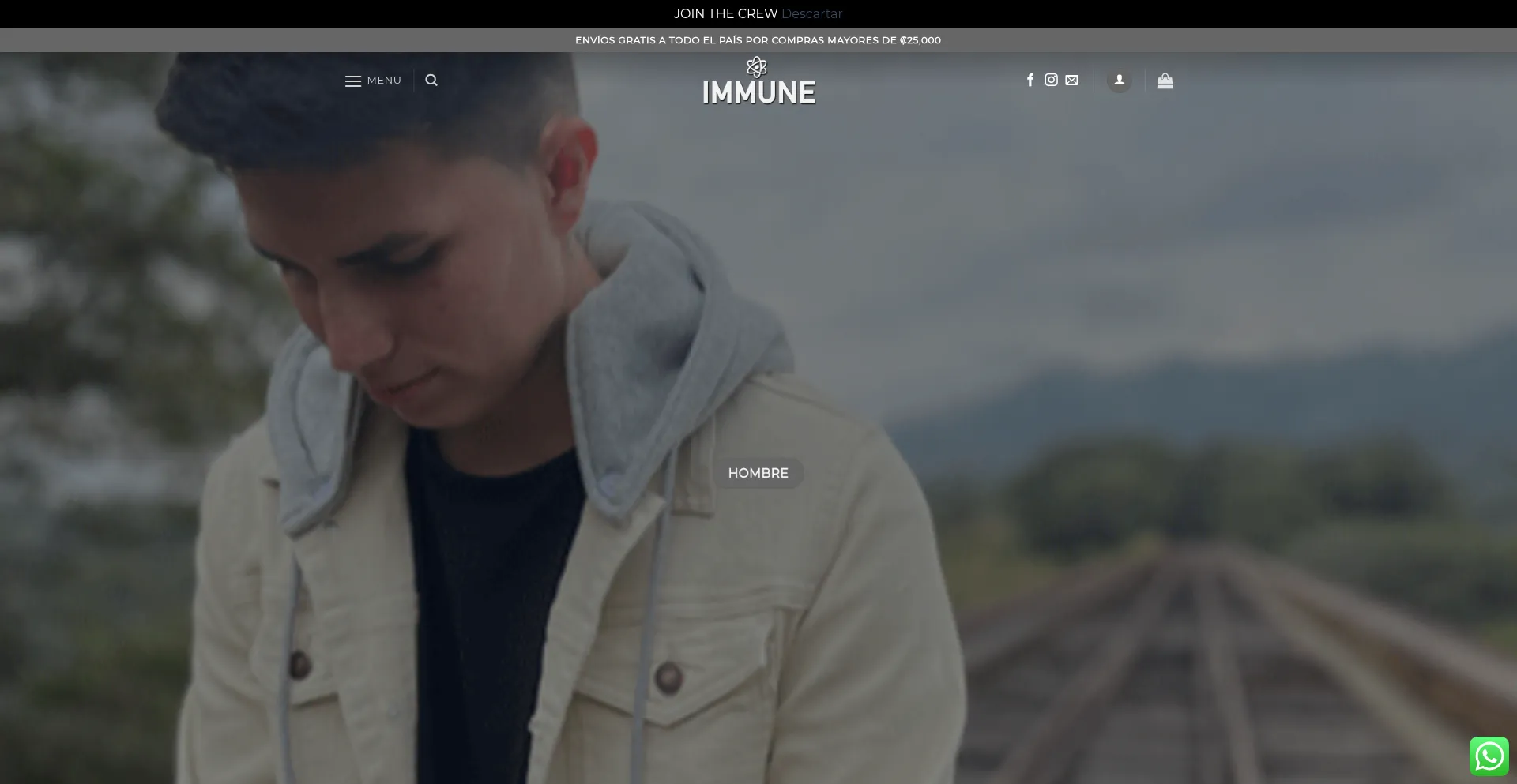 Website screenshot of Immunestore.com