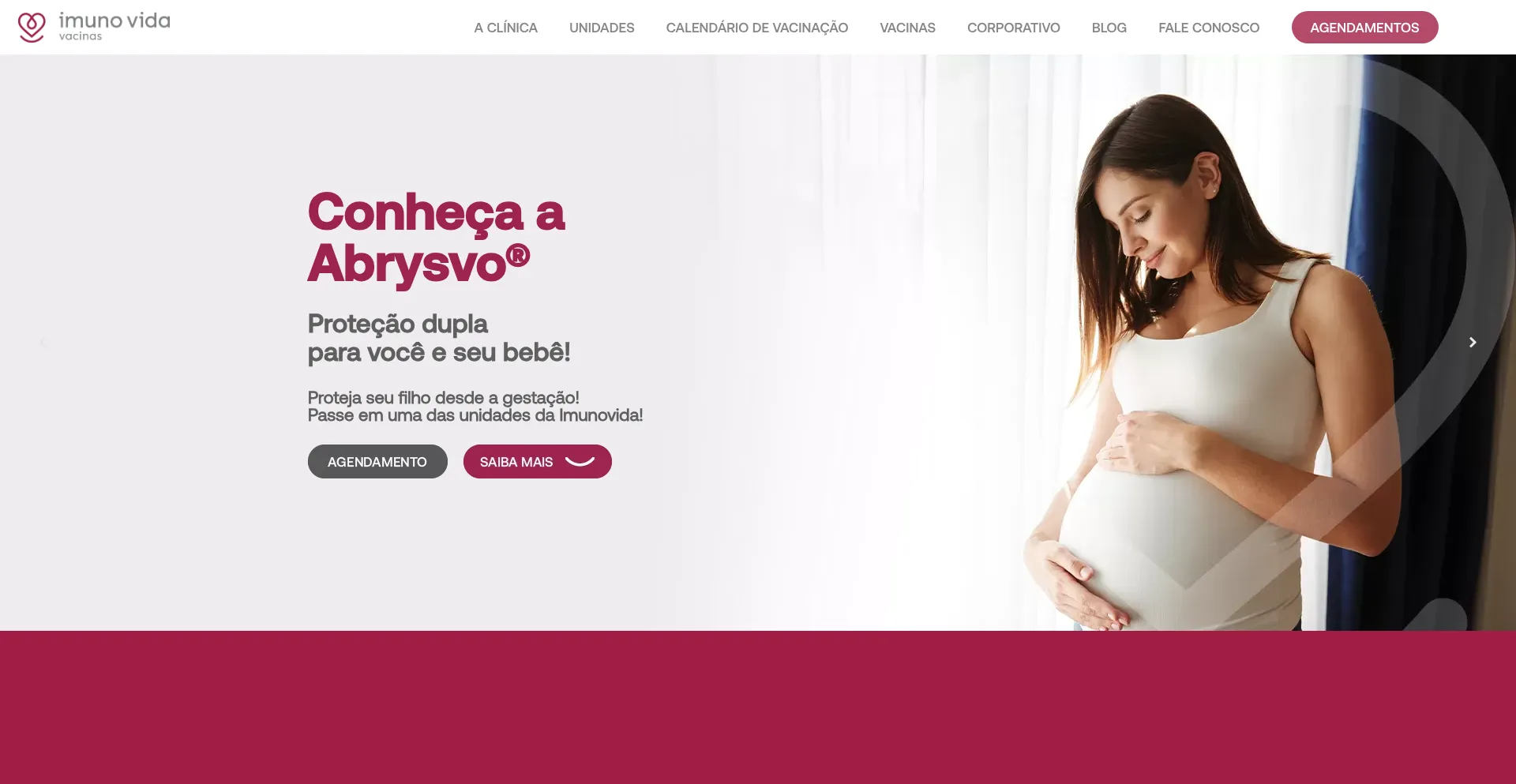 Website screenshot of Imunovidavacinas.com.br