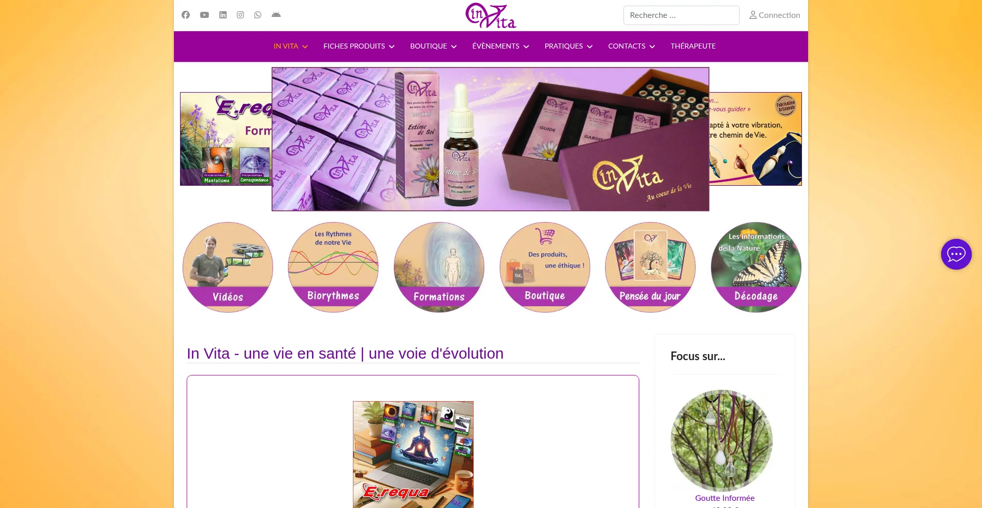 Website screenshot of In-vita.fr