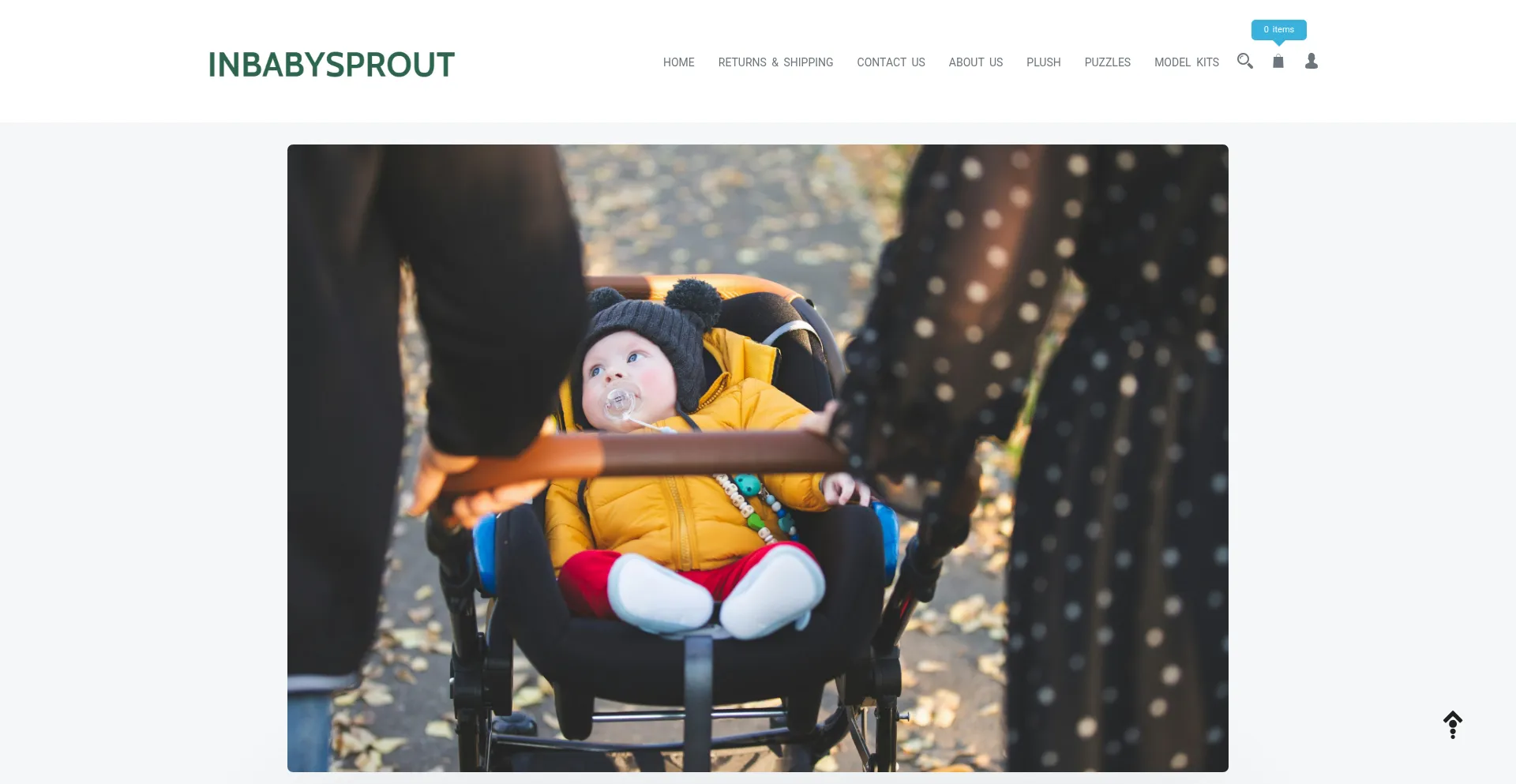 Inbabysprout.com