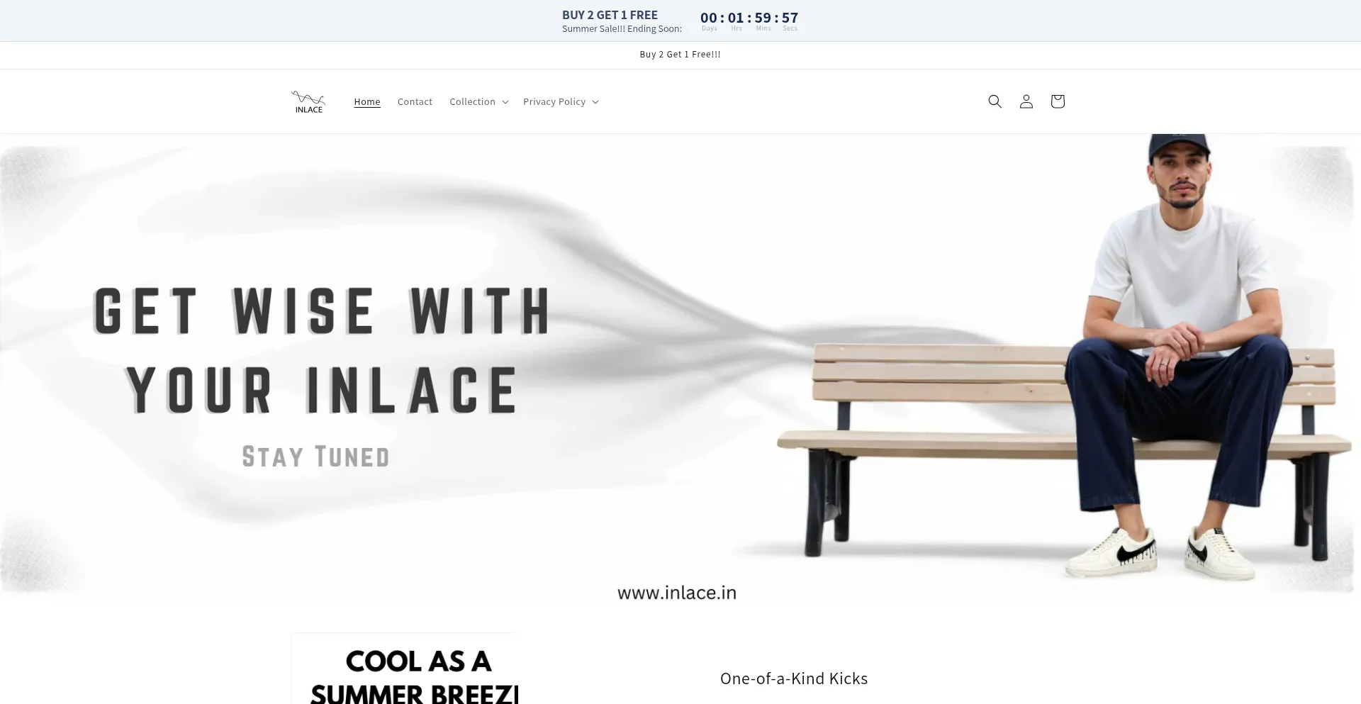 Website screenshot of Inlace.in
