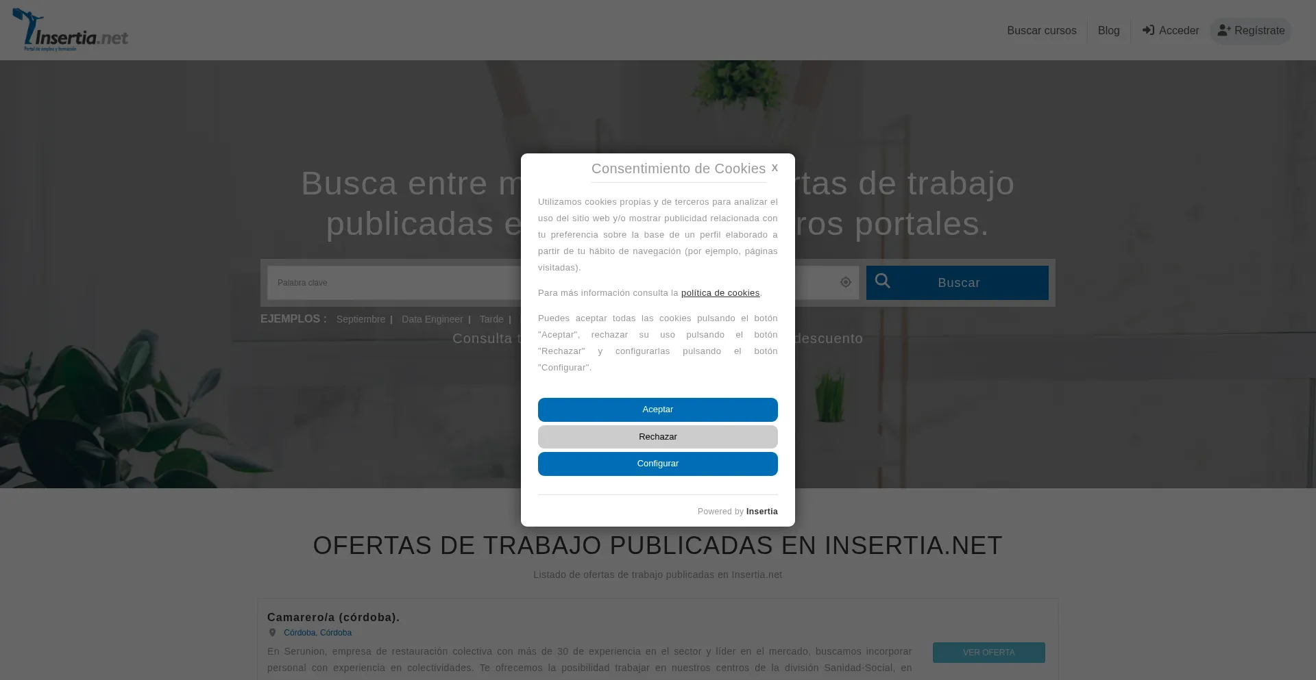 Website screenshot of Insertia.net