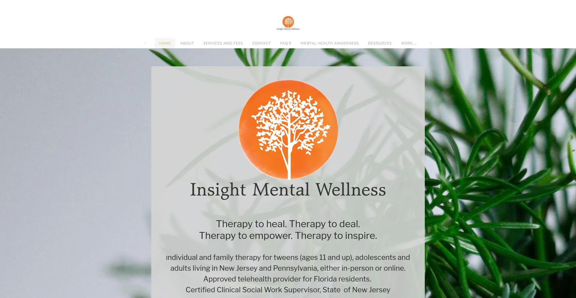 Website screenshot of Insightmentalwellness.com
