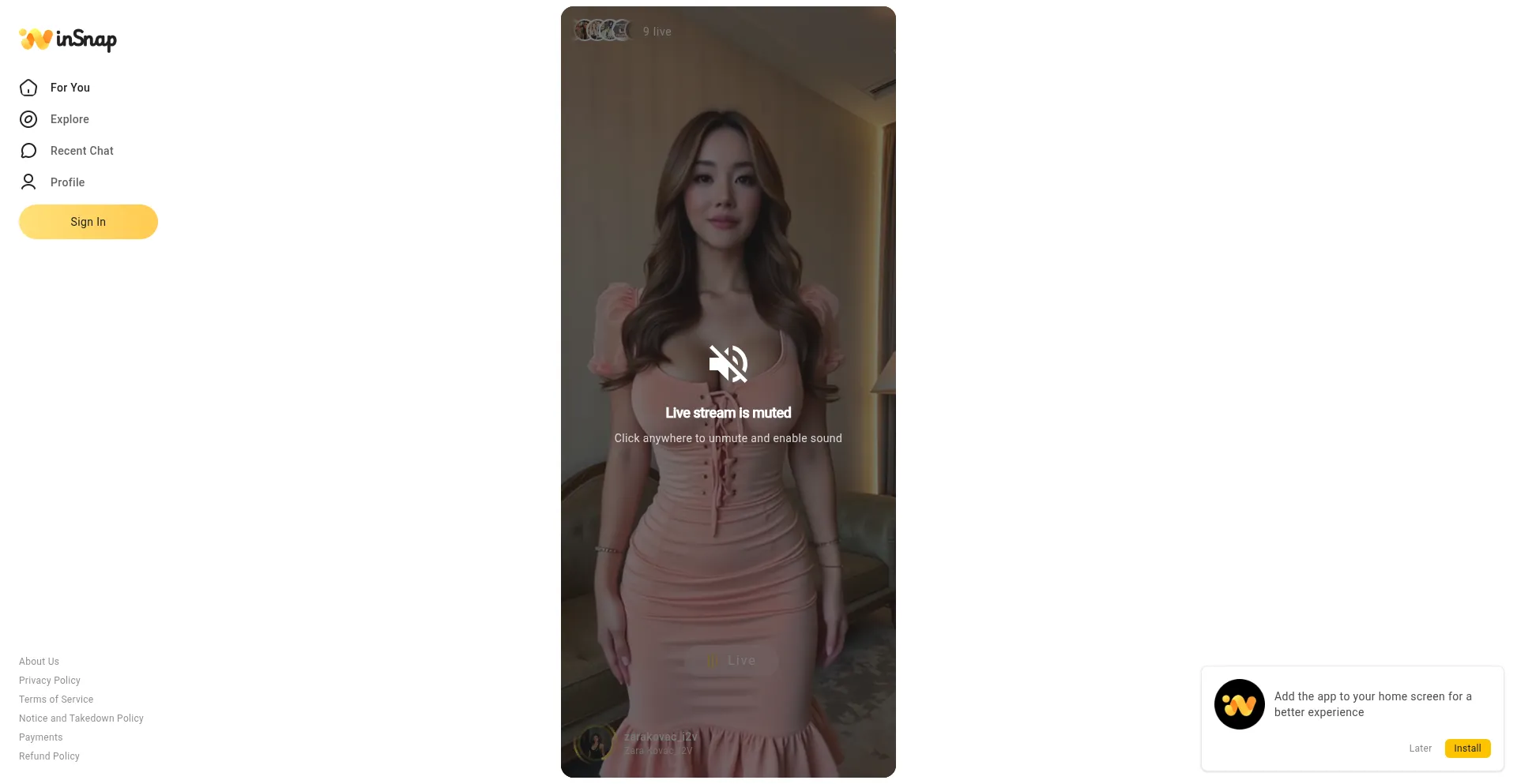 Website screenshot of Insnap.ai