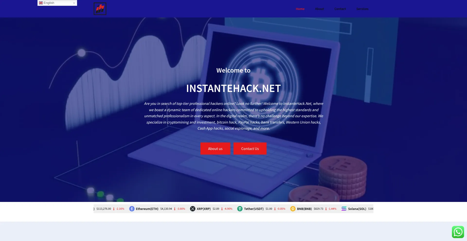 Website screenshot of Instantehack.net