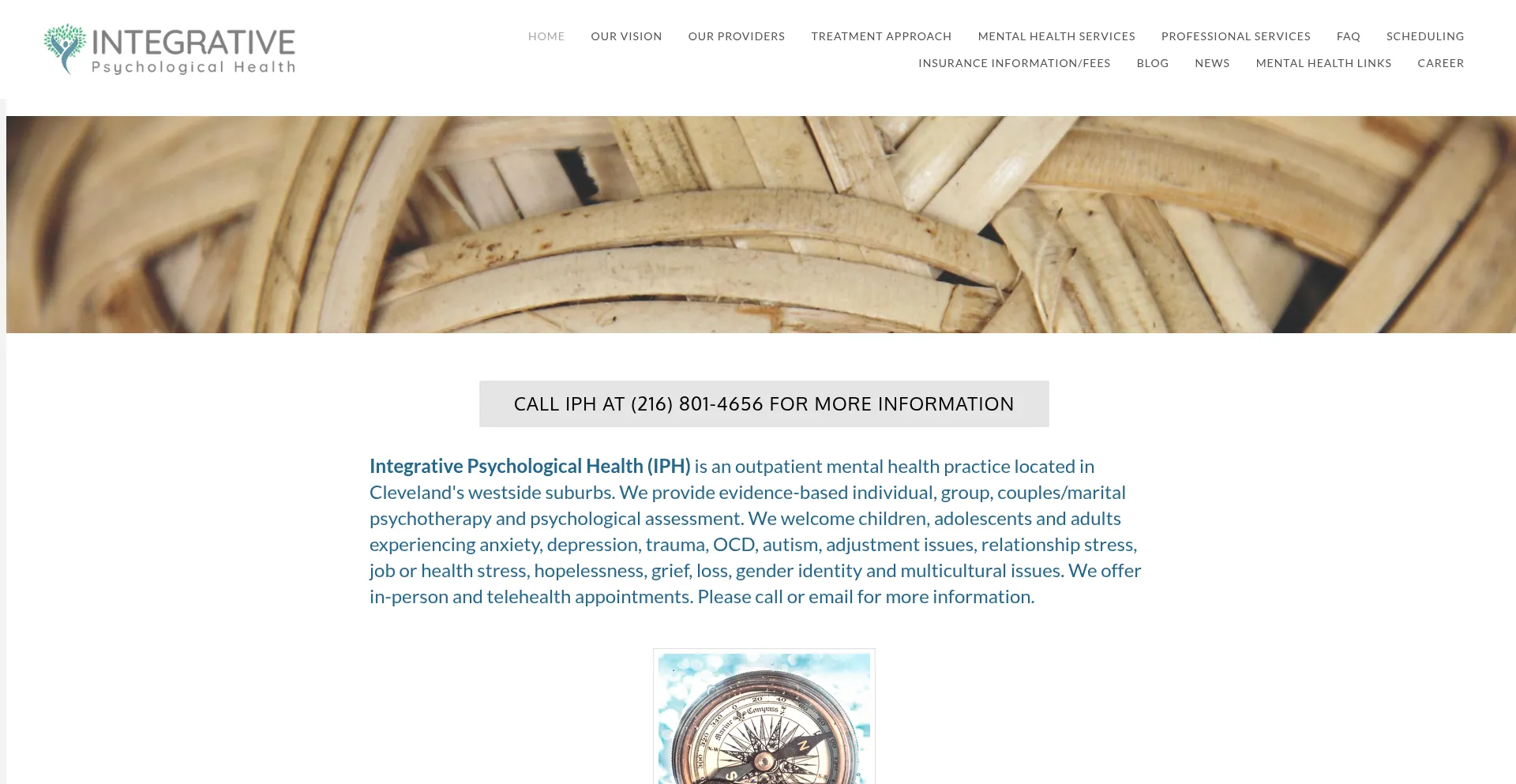 Website screenshot of Ipsyhealth.com