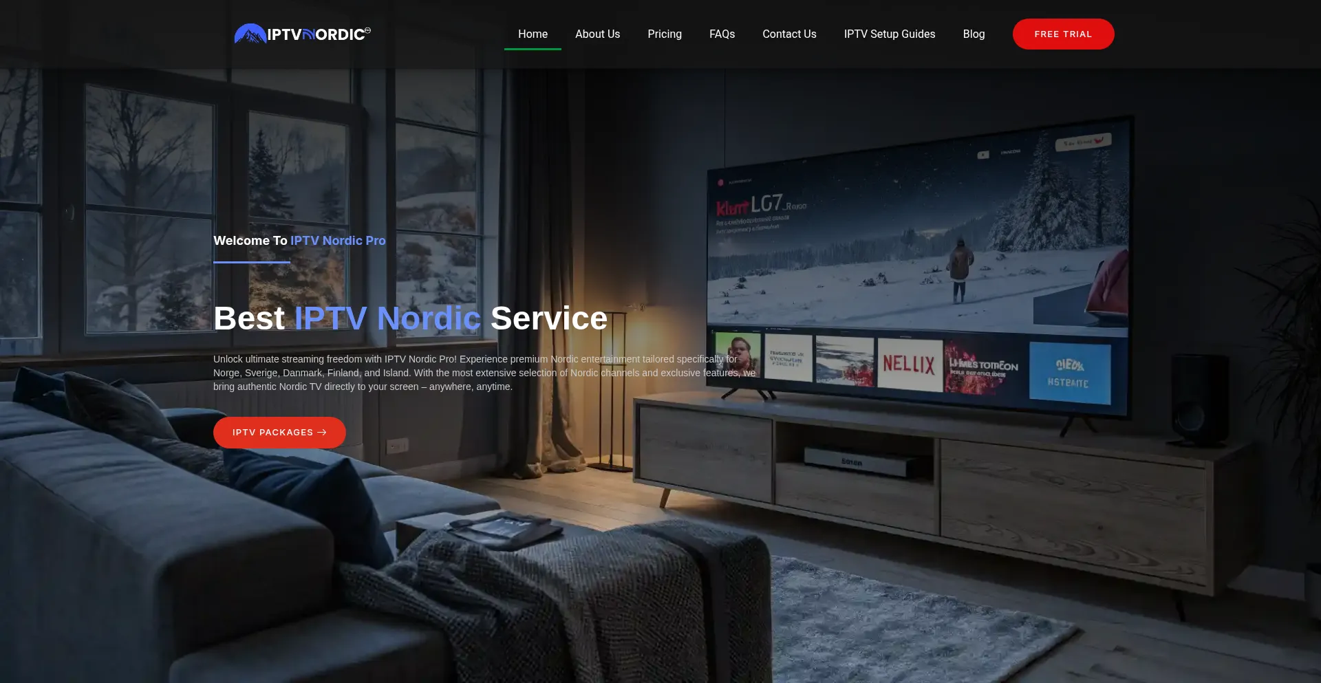 Website screenshot of Iptvnordicpro.com