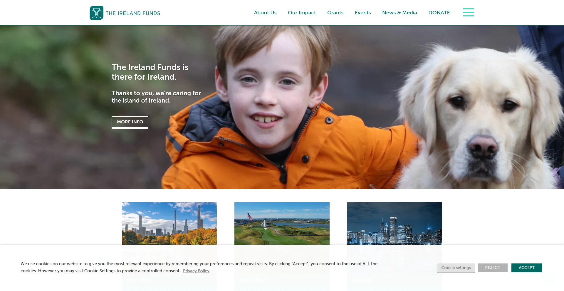 Website screenshot of Irelandfunds.org