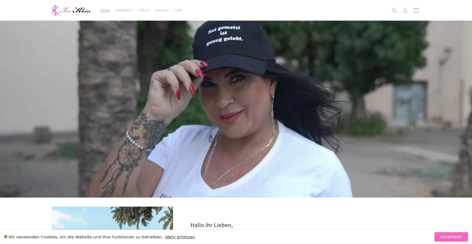Website screenshot of Irisklein.shop