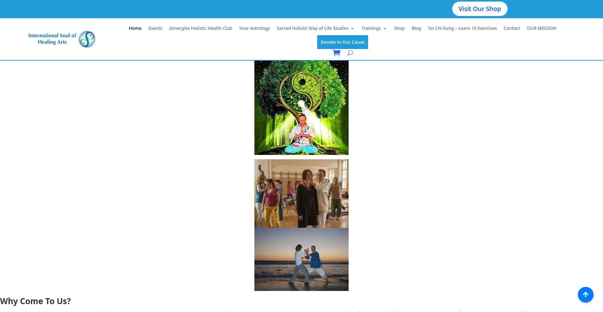 Website screenshot of Isoharts.com