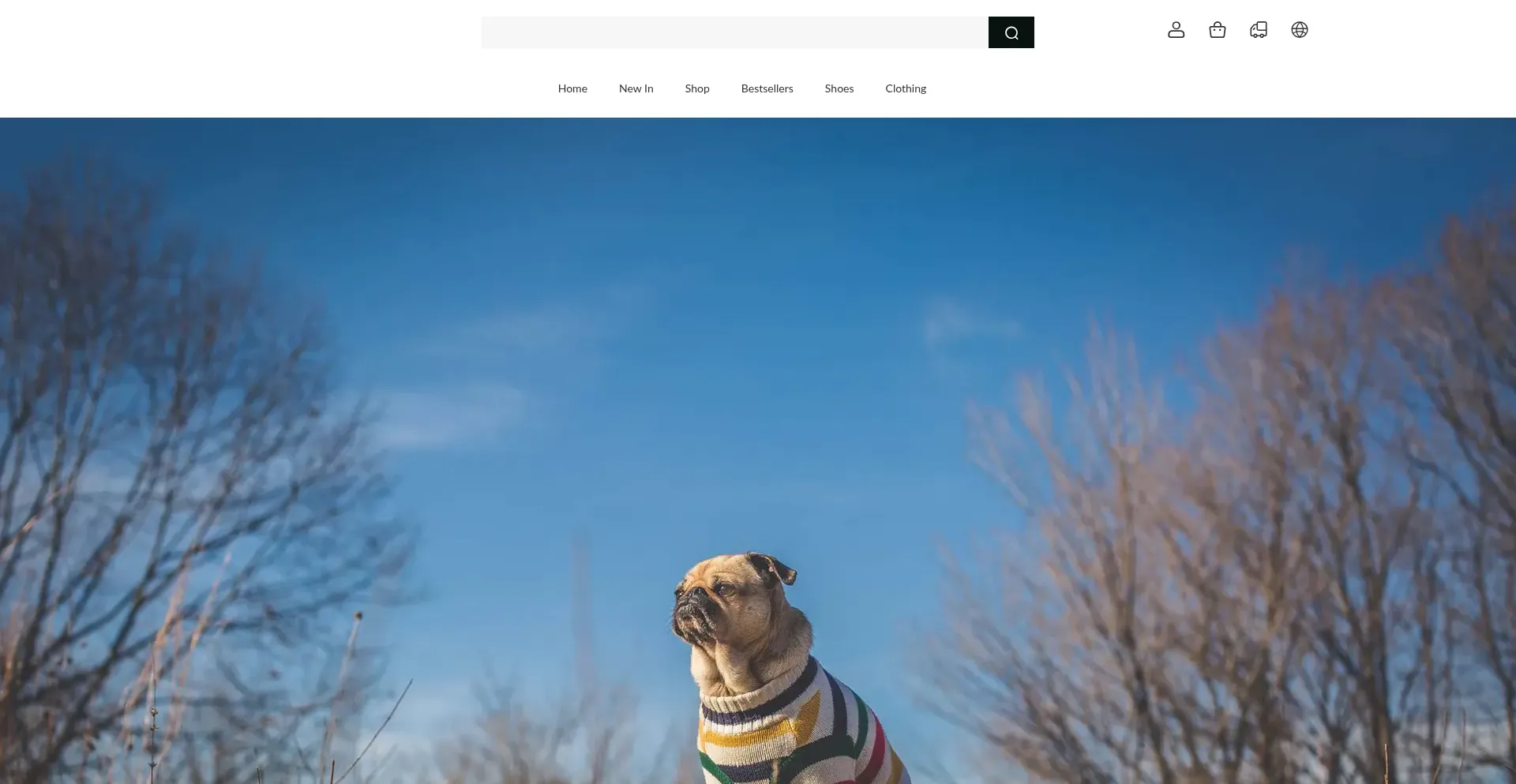 Website screenshot of Isoldjj.shop