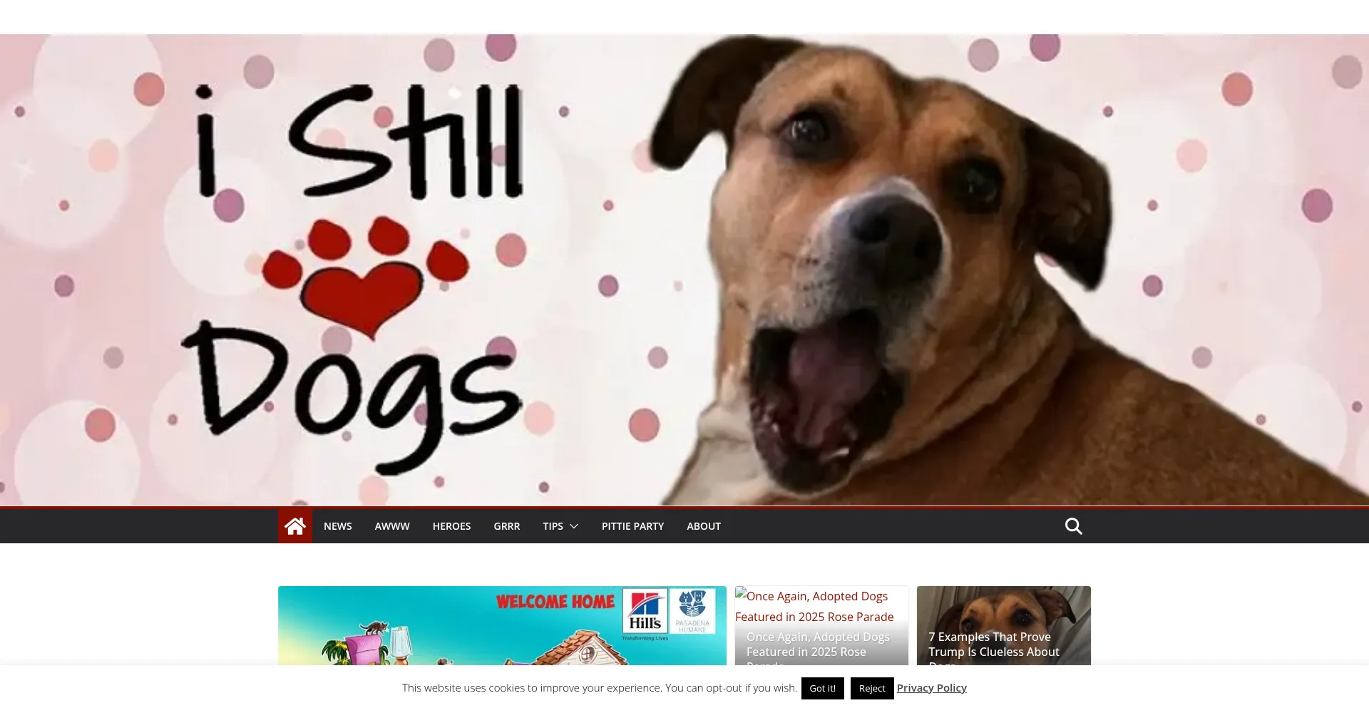Website screenshot of Istilllovedogs.com