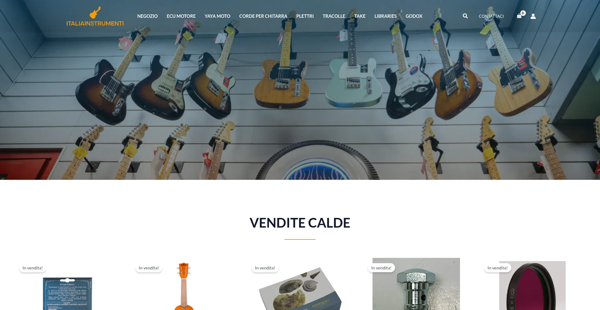 Website screenshot of Italiainstrumenti.com