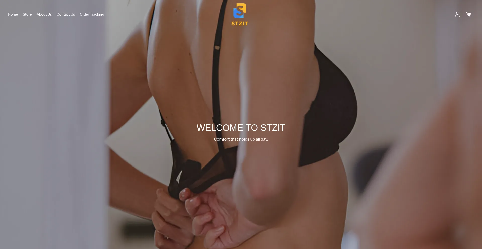 Website screenshot of Ituden.com