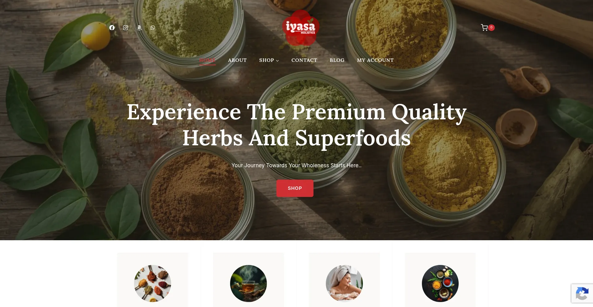 Iyasaholistics.com
