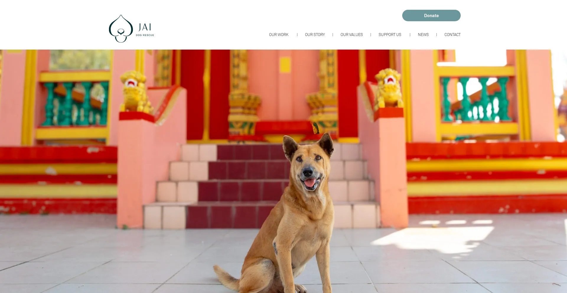 Website screenshot of Jaidogrescue.org
