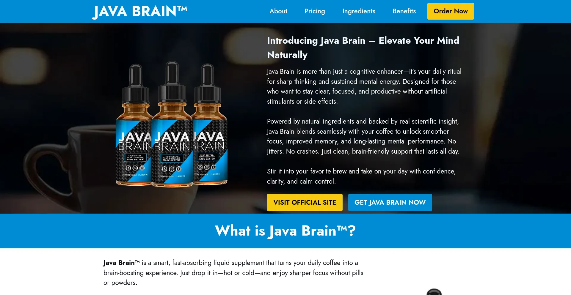 Java-javabrain.com