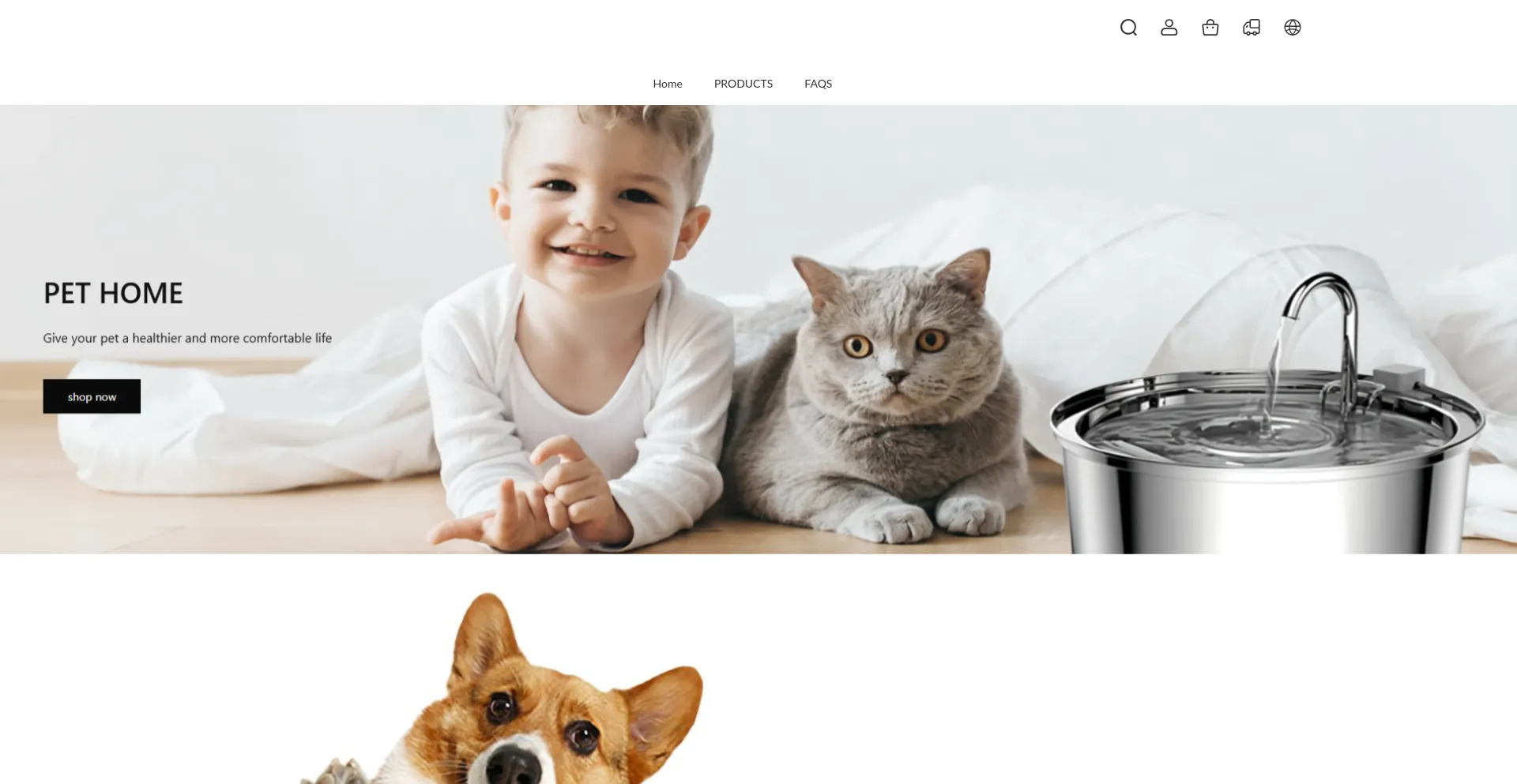 Website screenshot of Jesuscrzpallet.com