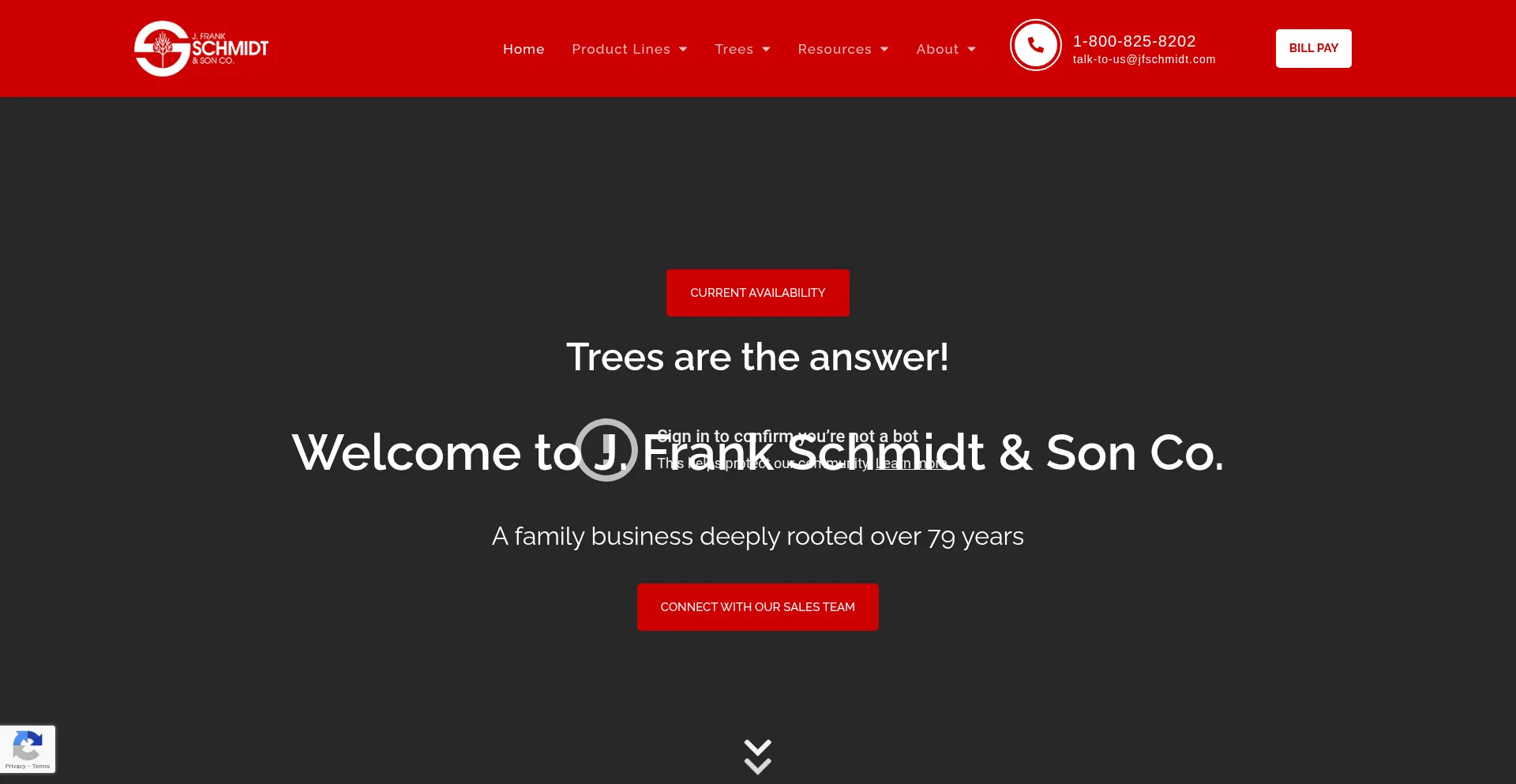 Website screenshot of Jfschmidt.com
