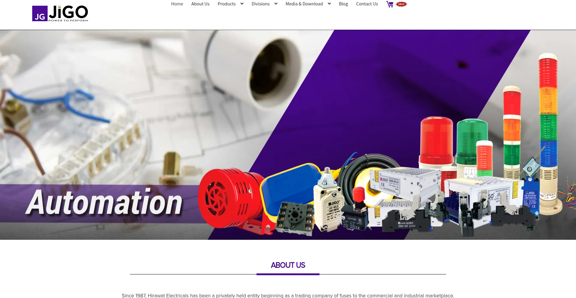 Website screenshot of Jigoindia.com
