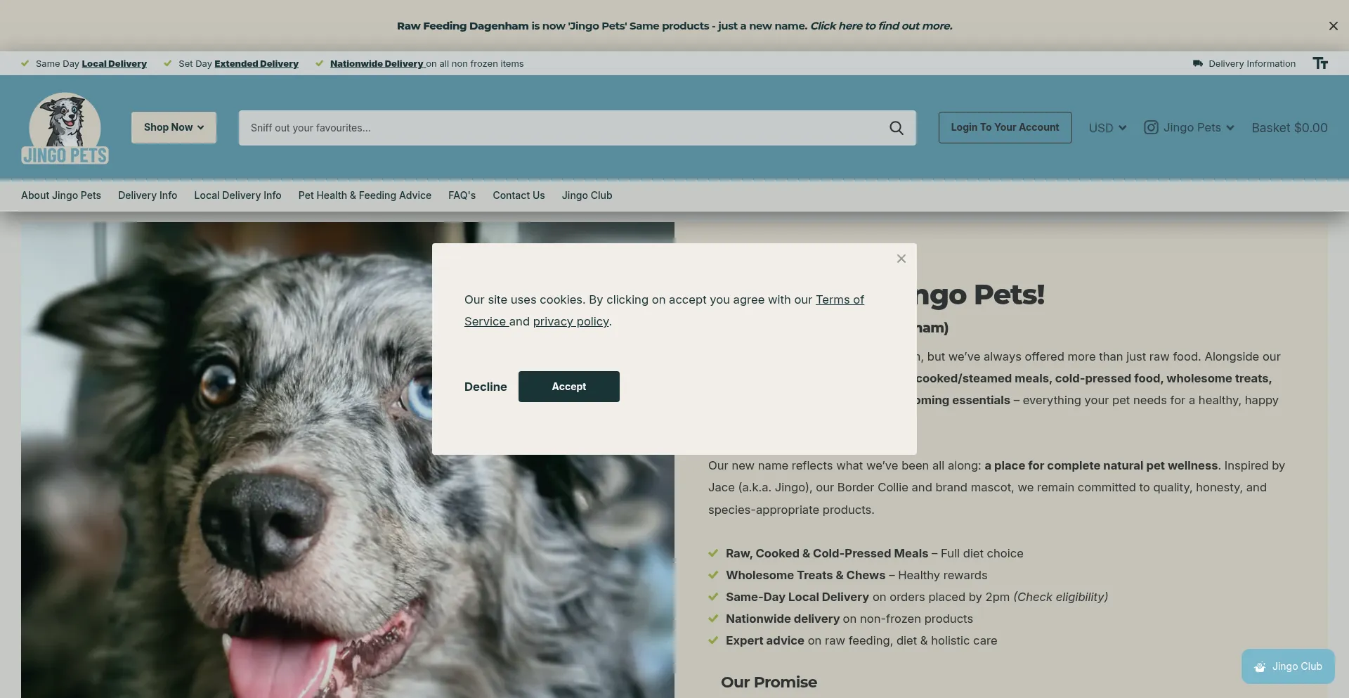 Website screenshot of Jingopets.co.uk