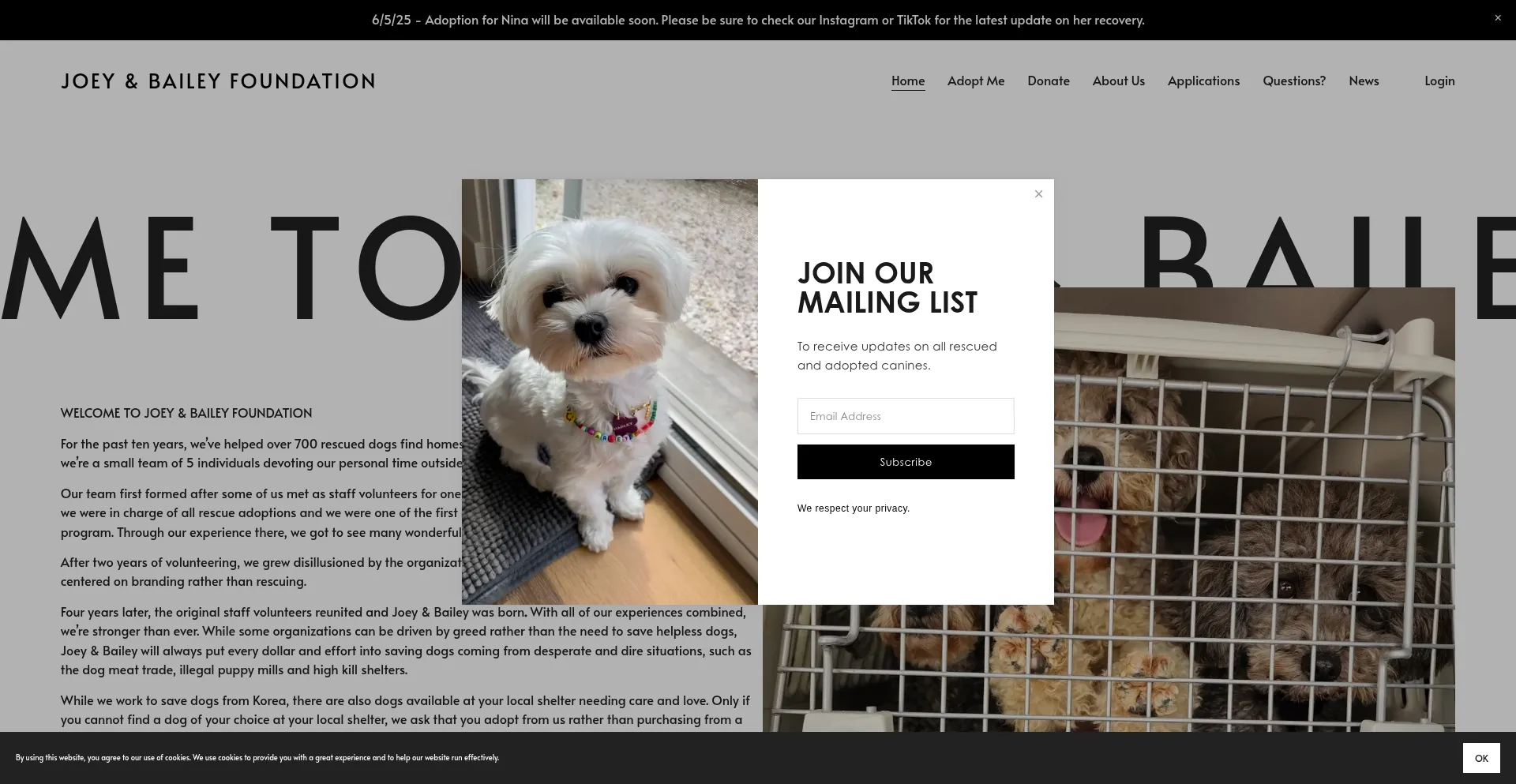 Website screenshot of Joeyandbailey.org